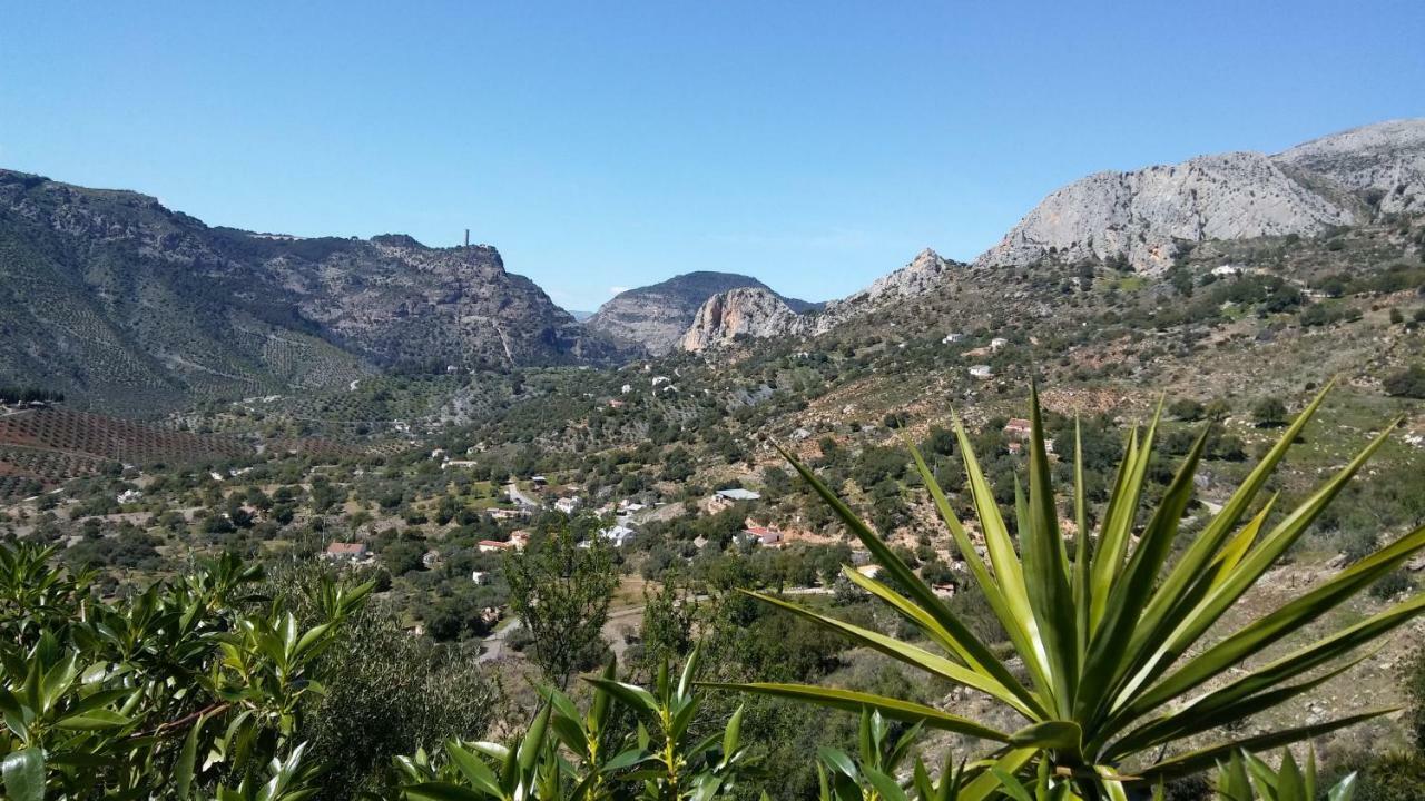 ألورا Casa Encina - Encinasola Turismo Rural. المظهر الخارجي الصورة