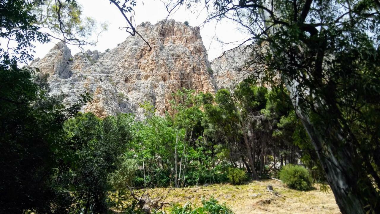 ألورا Casa Encina - Encinasola Turismo Rural. المظهر الخارجي الصورة