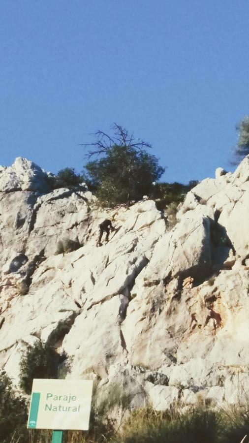ألورا Casa Encina - Encinasola Turismo Rural. المظهر الخارجي الصورة